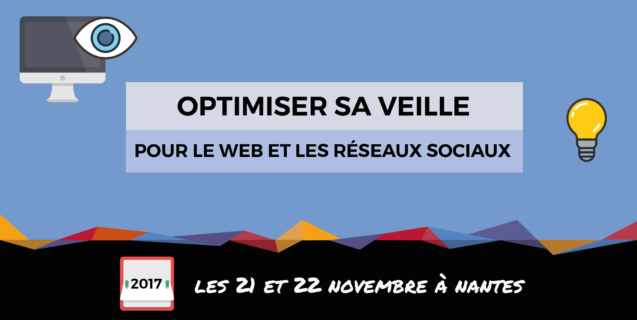 Formation « Optimiser sa veille sur le web et les réseaux sociaux